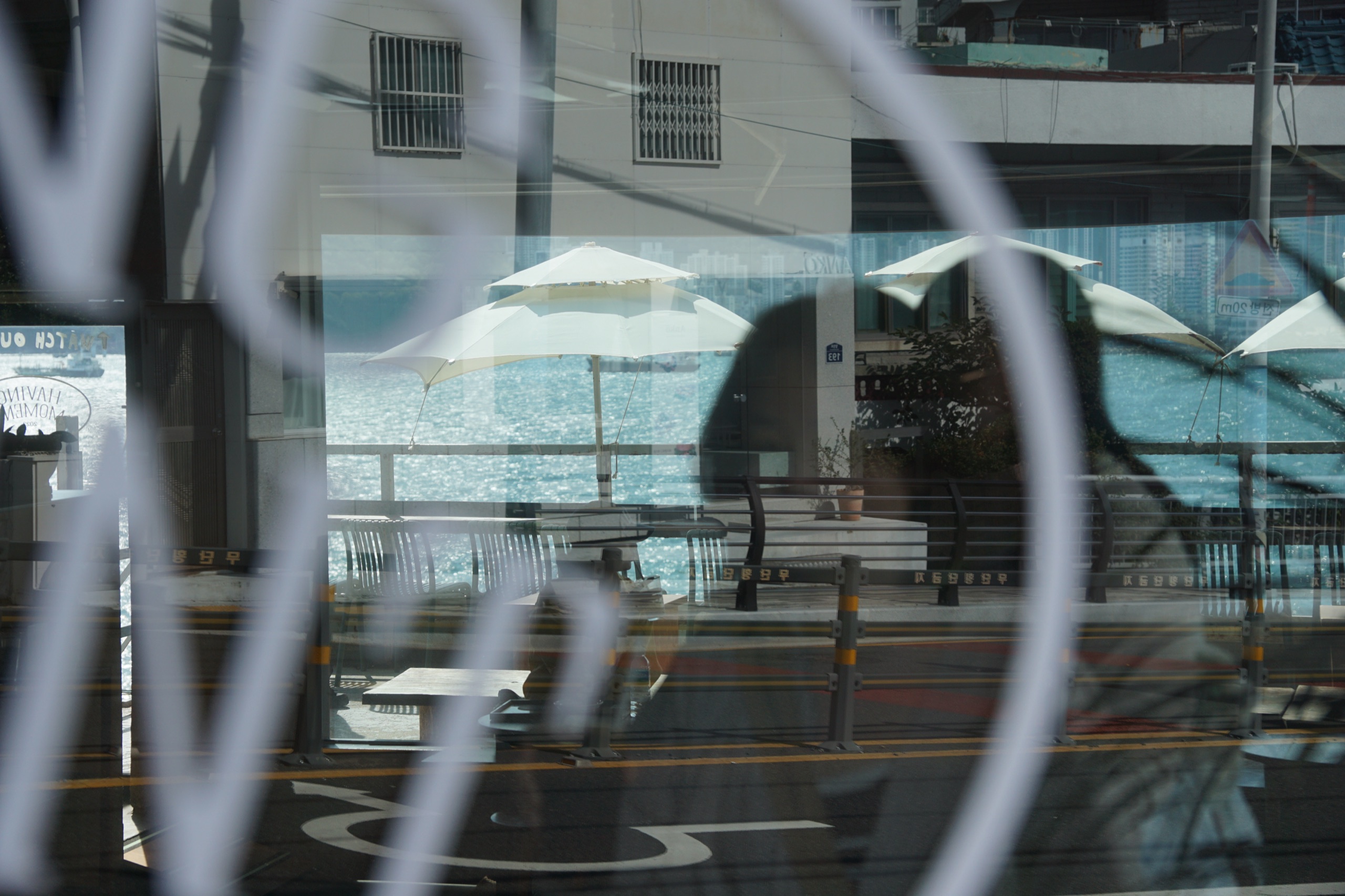 Los Angeles photography by yuxi